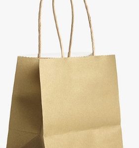 Small brown twisted handle paper gift bag.